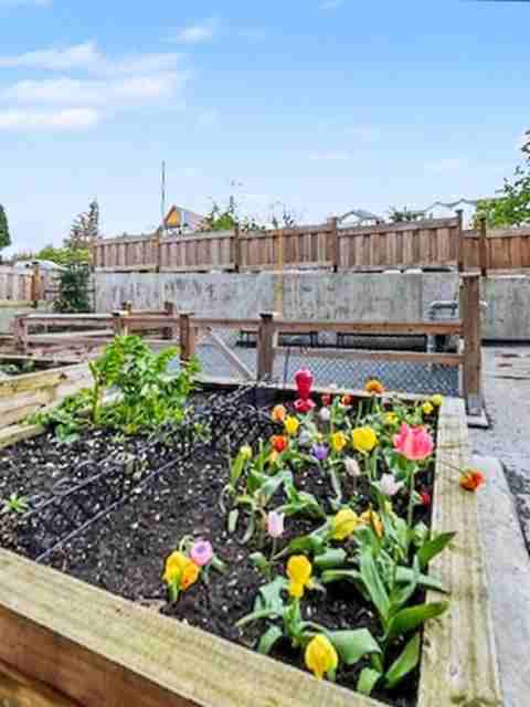 Mission walk - Photo 7 of 31