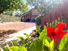 featured image of 5666 E Hampton St