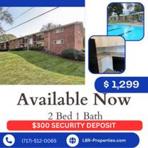 217 Francis L Cadden Pkwy #1 - Photo 1 of 1