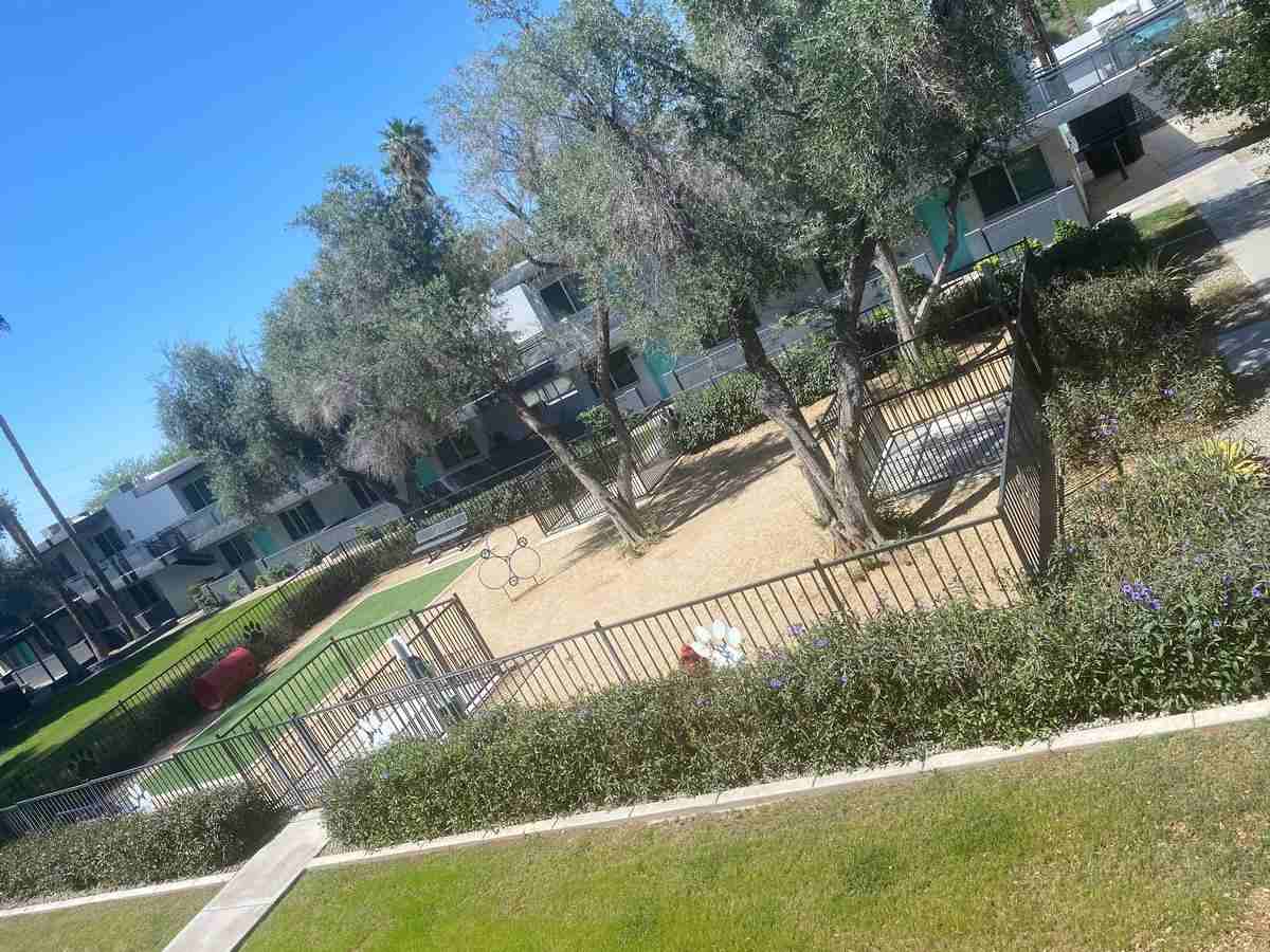1701 E Don Carlos Ave - Photo 4 of 30