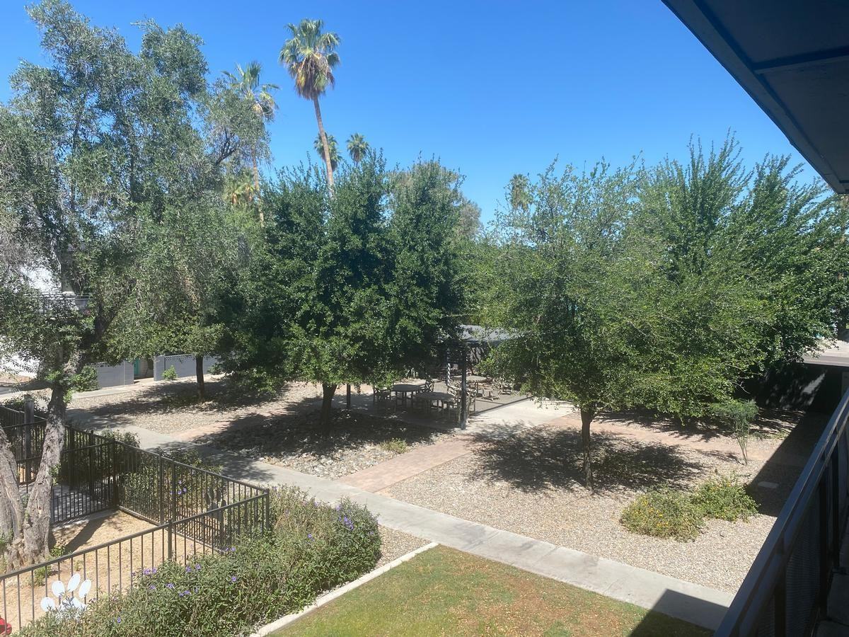 1701 E Don Carlos Ave - Photo 6 of 30