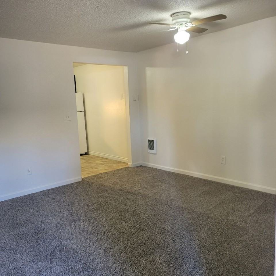 The ideal space to balance life, work and play. One bedroom home in the Arnada Neighborhood, close to uptown Vancouver! - Photo 4 of 11