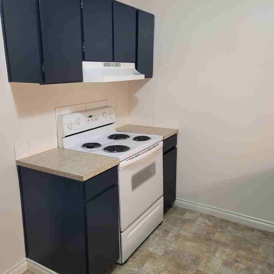 The ideal space to balance life, work and play. One bedroom home in the Arnada Neighborhood, close to uptown Vancouver! - Photo 7 of 11