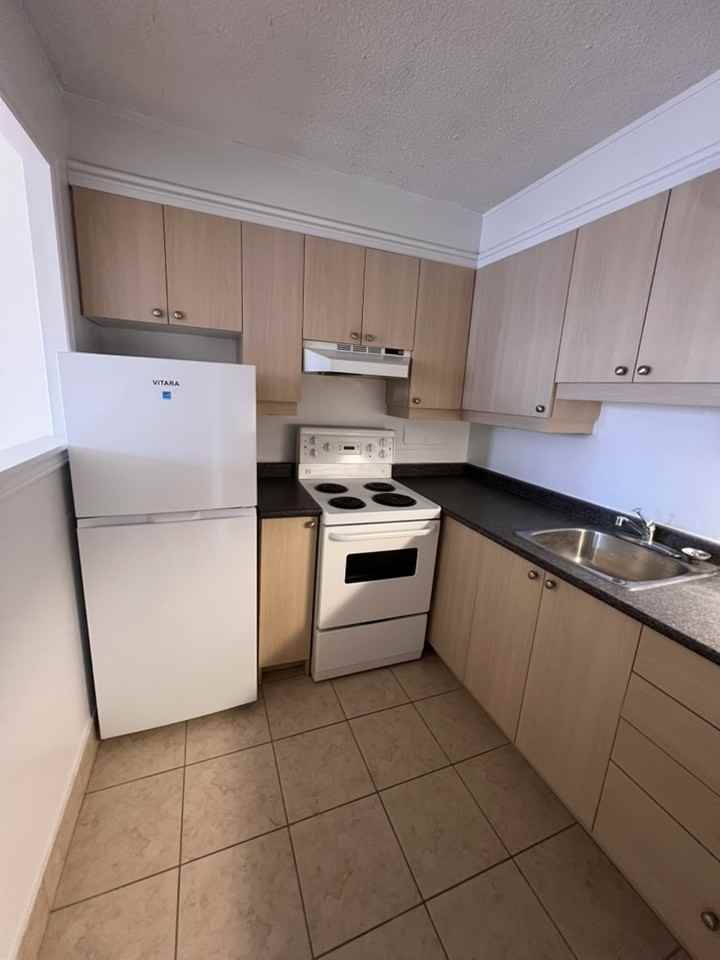 263 Maclaren St #502 - Photo 4 of 20