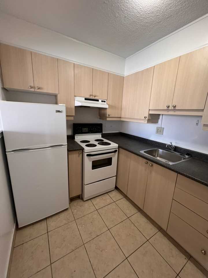 263 Maclaren St #307 - Photo 5 of 13