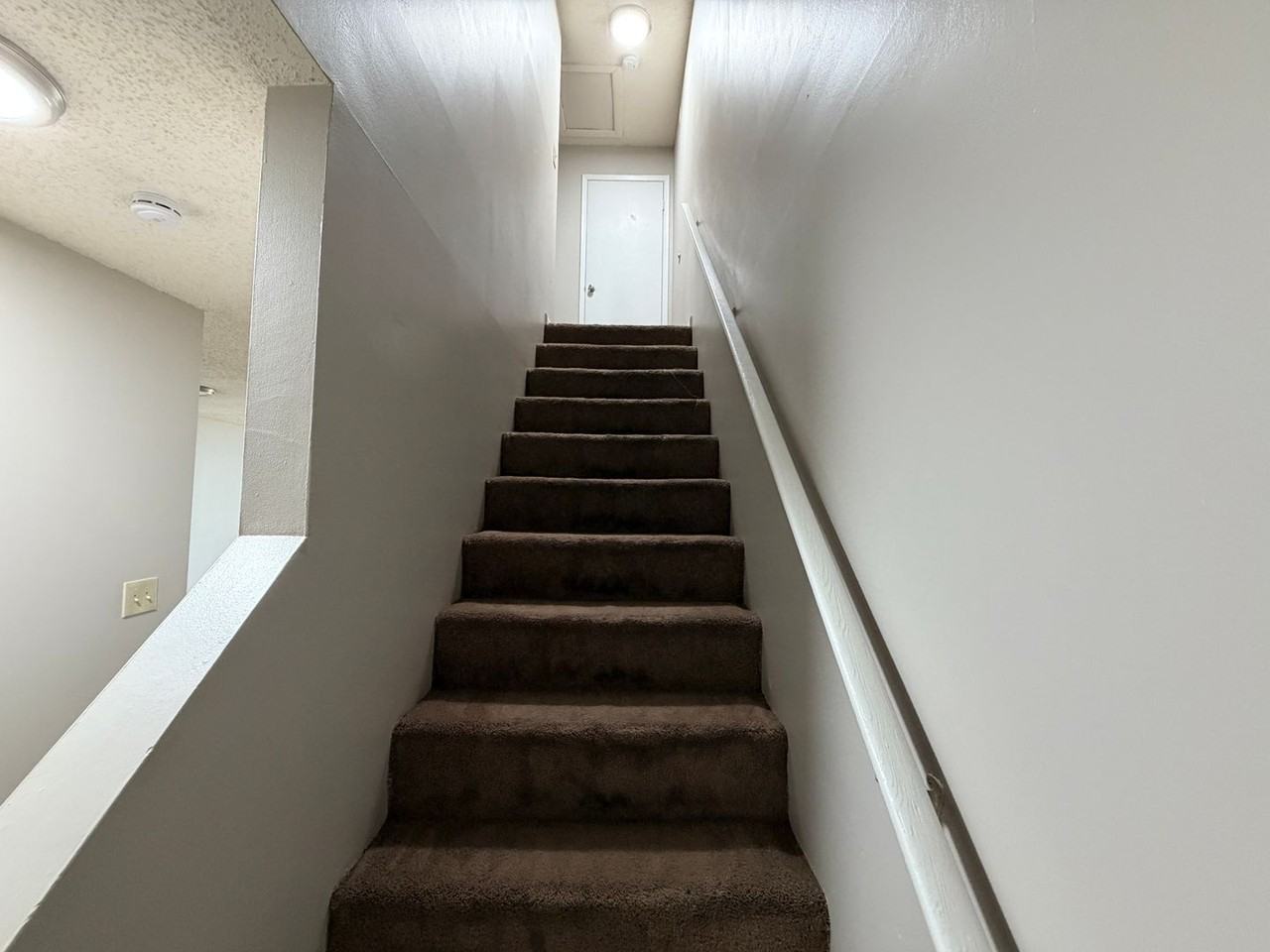 2305 Bemiss Rd - Photo 5 of 13