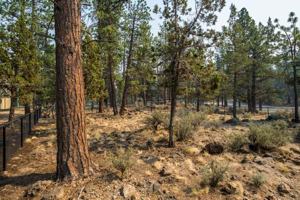 featured image of 2528 Nw Campus Village Way