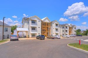 featured image of Steading Lane