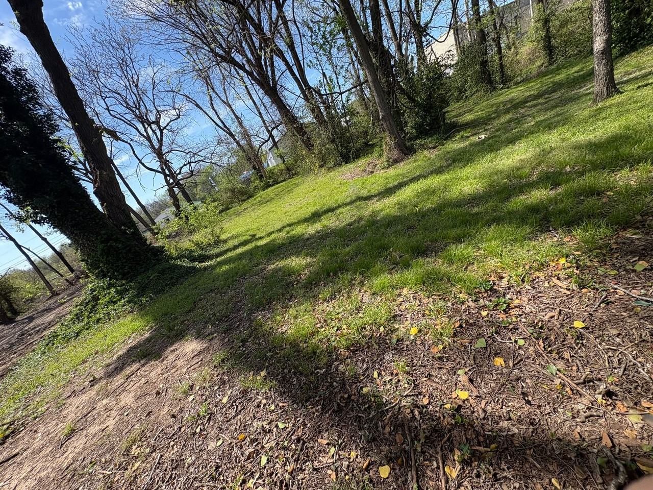 1433 N Prospect Ave - Photo 6 of 22