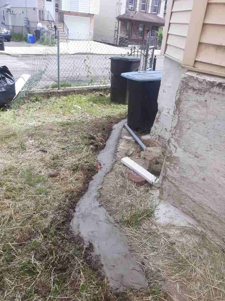 107 Palm St - Photo 6 of 17