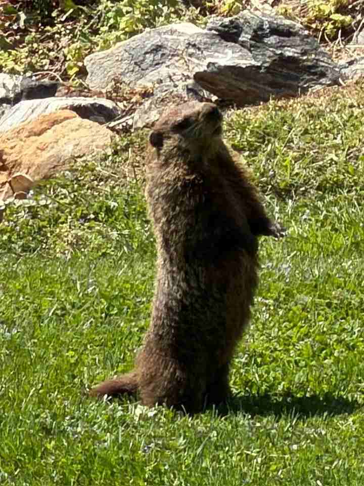 12 Long St - Photo 4 of 28