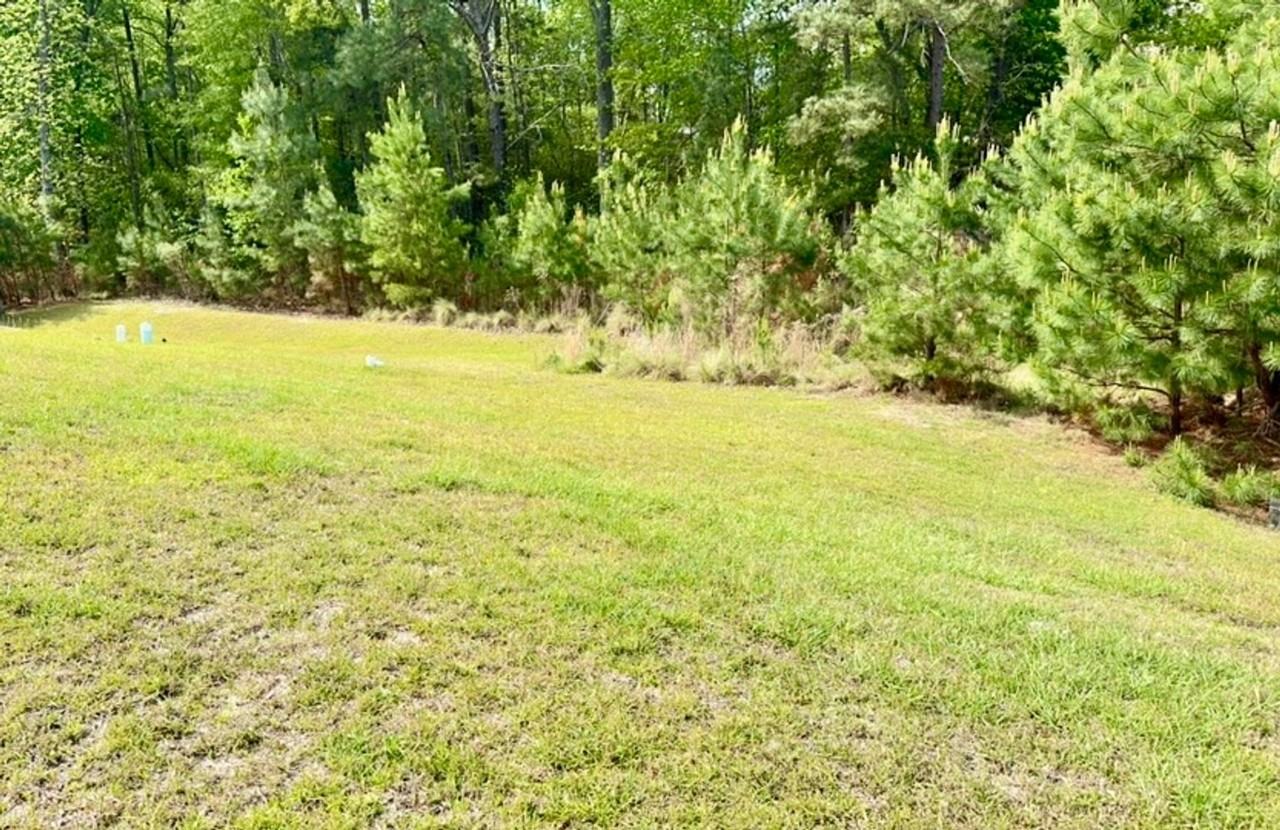 244 Meadow Springs Dr - Photo 3 of 33