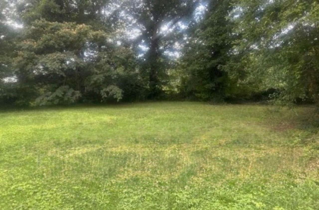 1000 Kingsport Ln - Photo 3 of 4