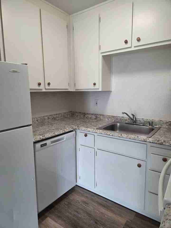 Blue Heron - Dhillon - 0220 - Photo 4 of 15