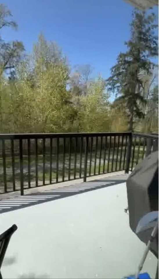 14888 62 Avenue #56 - Photo 7 of 23