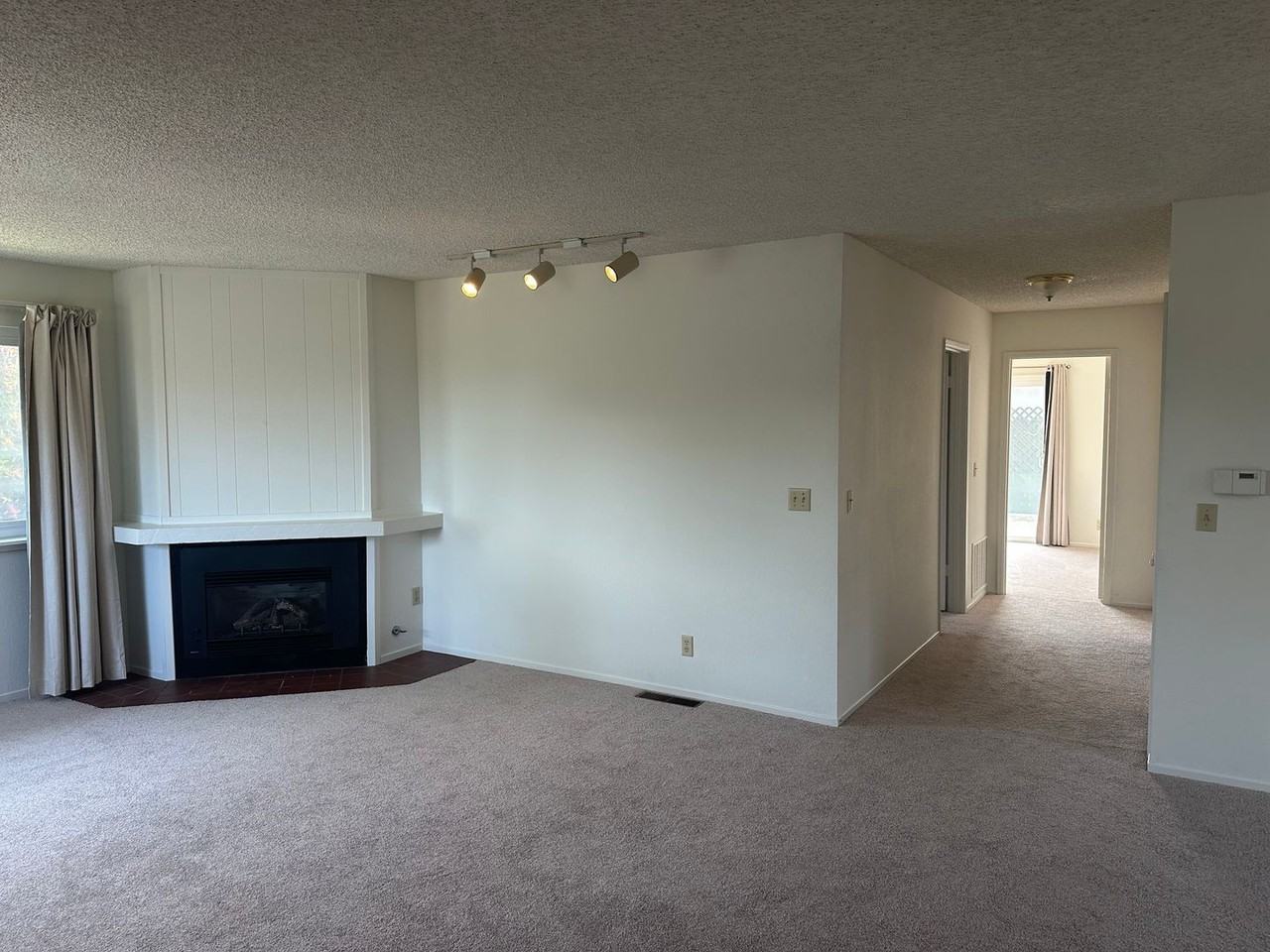 701 Pine St - Photo 4 of 34