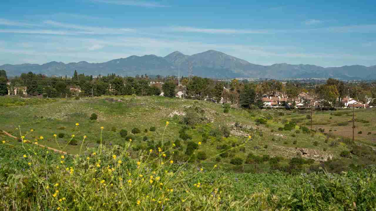 Villa Solana - Photo 3 of 32