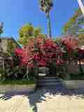 10805 Camarillo Street - Photo 1 of 1