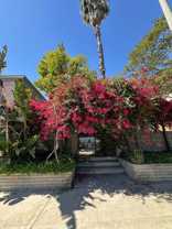 10805 Camarillo Street - Photo 1 of 1