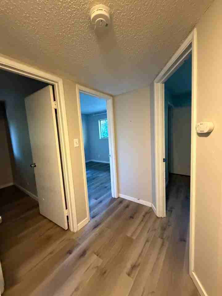 5363 Castle St - Photo 6 of 22