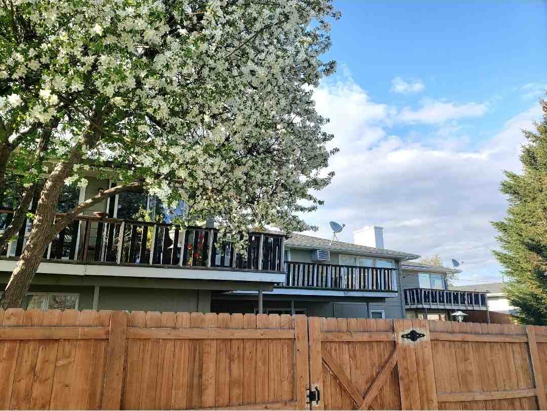 520 29th Ave Ne #520B - Photo 6 of 17