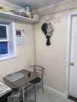 featured image of 39 Farquhar St