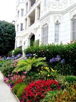 827 4th St #303 - Photo 1 of 1