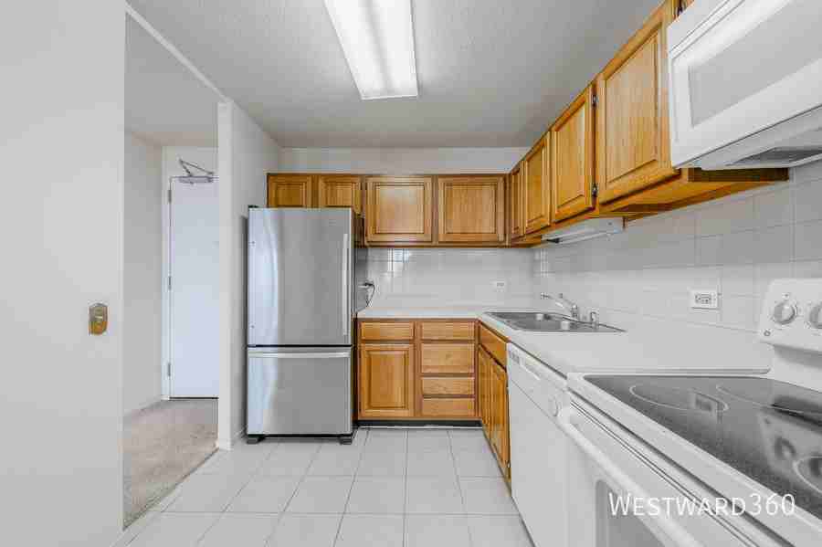 901 S Plymouth Ct #1701 - Photo 7 of 11