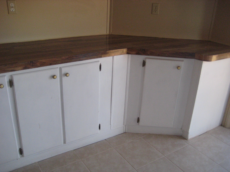 488 Will Holt Rd - Photo 3 of 11