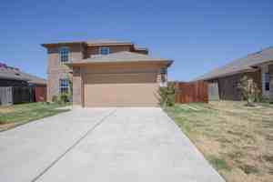 featured image of 1005 Papaya Cv