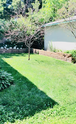 1804 13th Ave S #1 - Photo 7 of 7