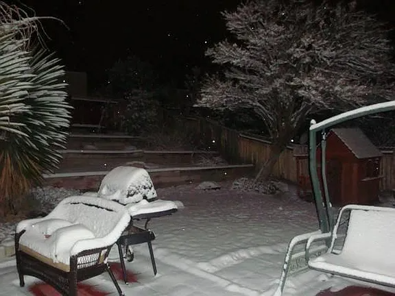 3231 Schumacher St. Ne - Photo 7 of 28