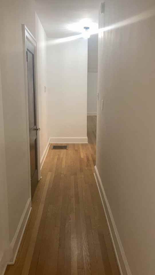 1006 Potomac Ave #1N - Photo 6 of 12