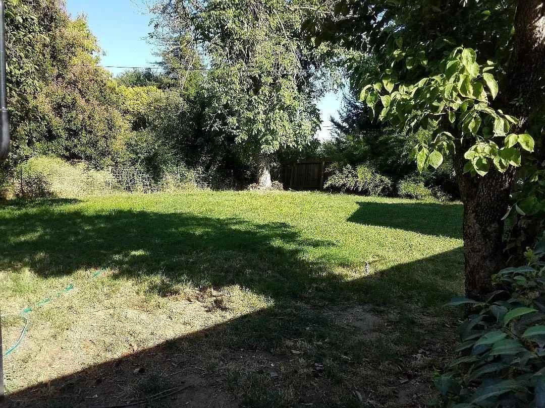 220 Sherman Dr - Photo 3 of 19