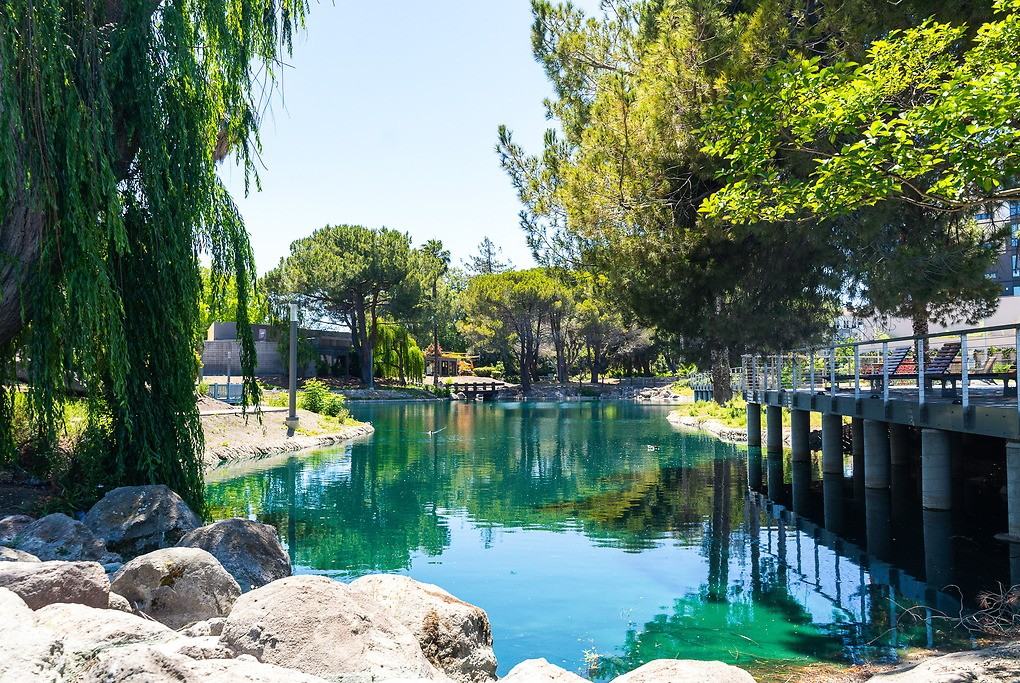 1250 Lakeside - Photo 4 of 50