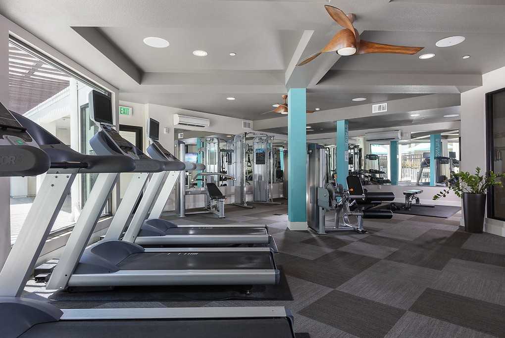 Marquis - Photo 7 of 50