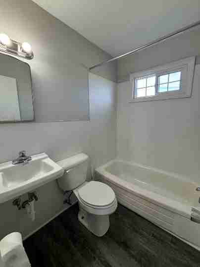 Calvin Street (NEW) - Photo 7 of 50