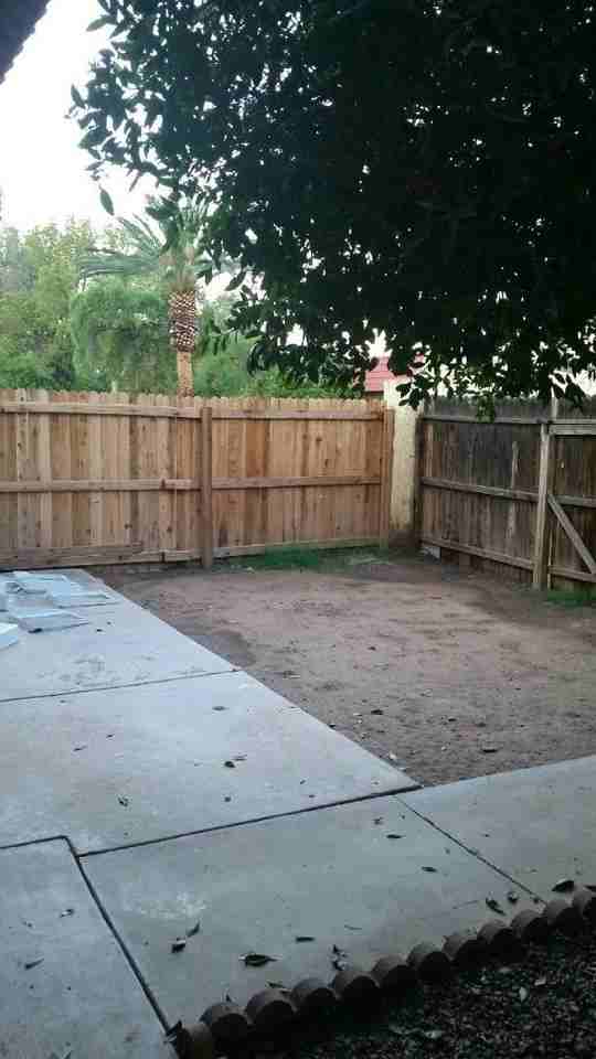 3316 W Tangerine Ln - Photo 2 of 12