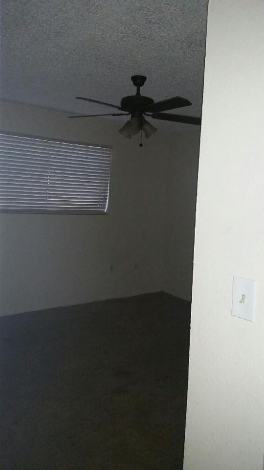 3316 W Tangerine Ln - Photo 3 of 12