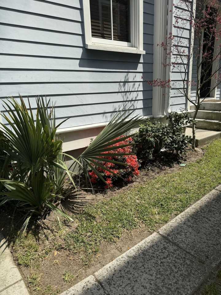 71 Bogard St - Photo 4 of 50