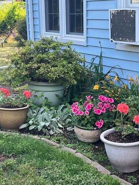 245 Alps Rd - Photo 4 of 15