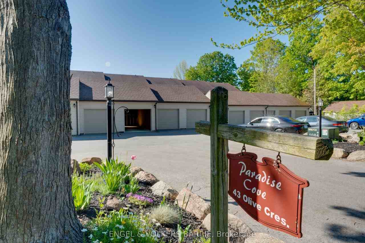 43 Olive Crescent 204 - Photo 4 of 30