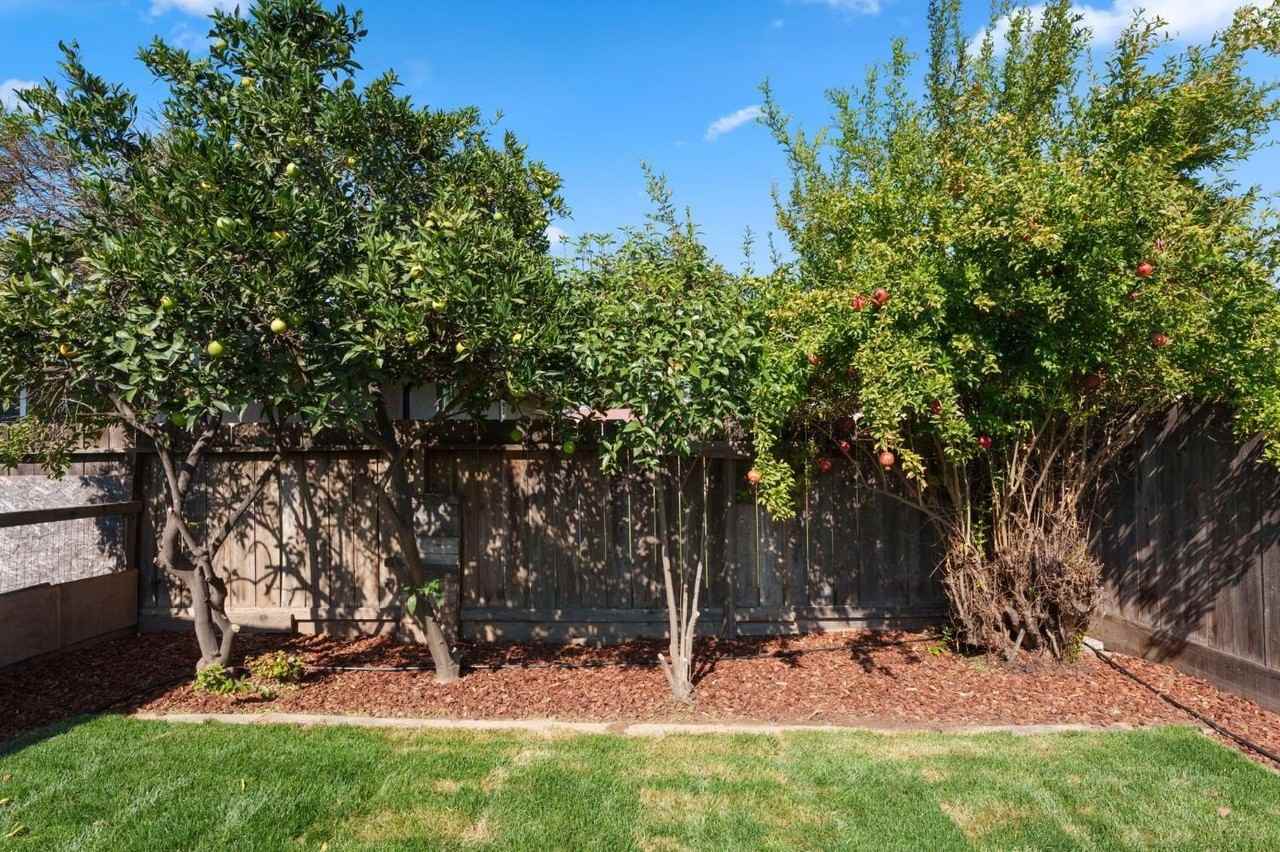 6804 N Backer Ave - Photo 5 of 18