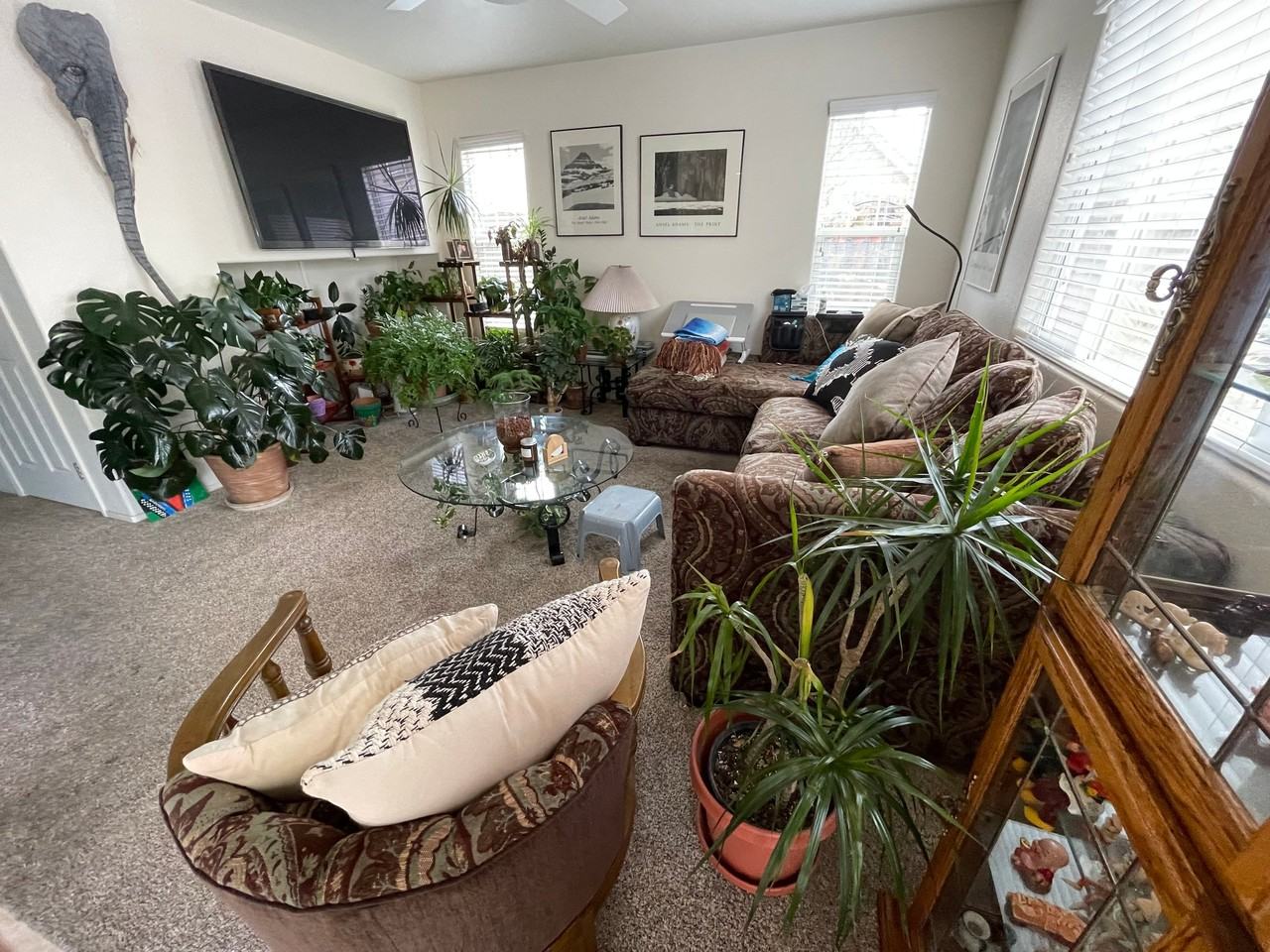 265 Quail Cir - Photo 7 of 17