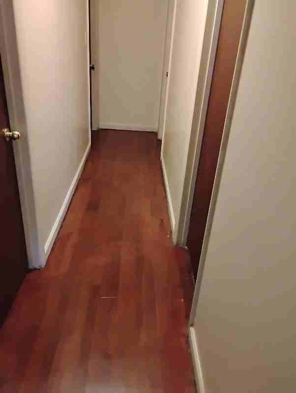 409 Hemingway St - Photo 6 of 9