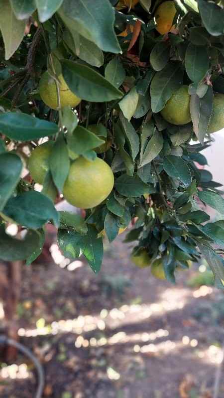 9204 Old Castle Rd #B - Photo 2 of 32