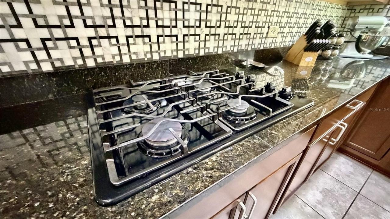 9160 Olmo Ct - Photo 6 of 21