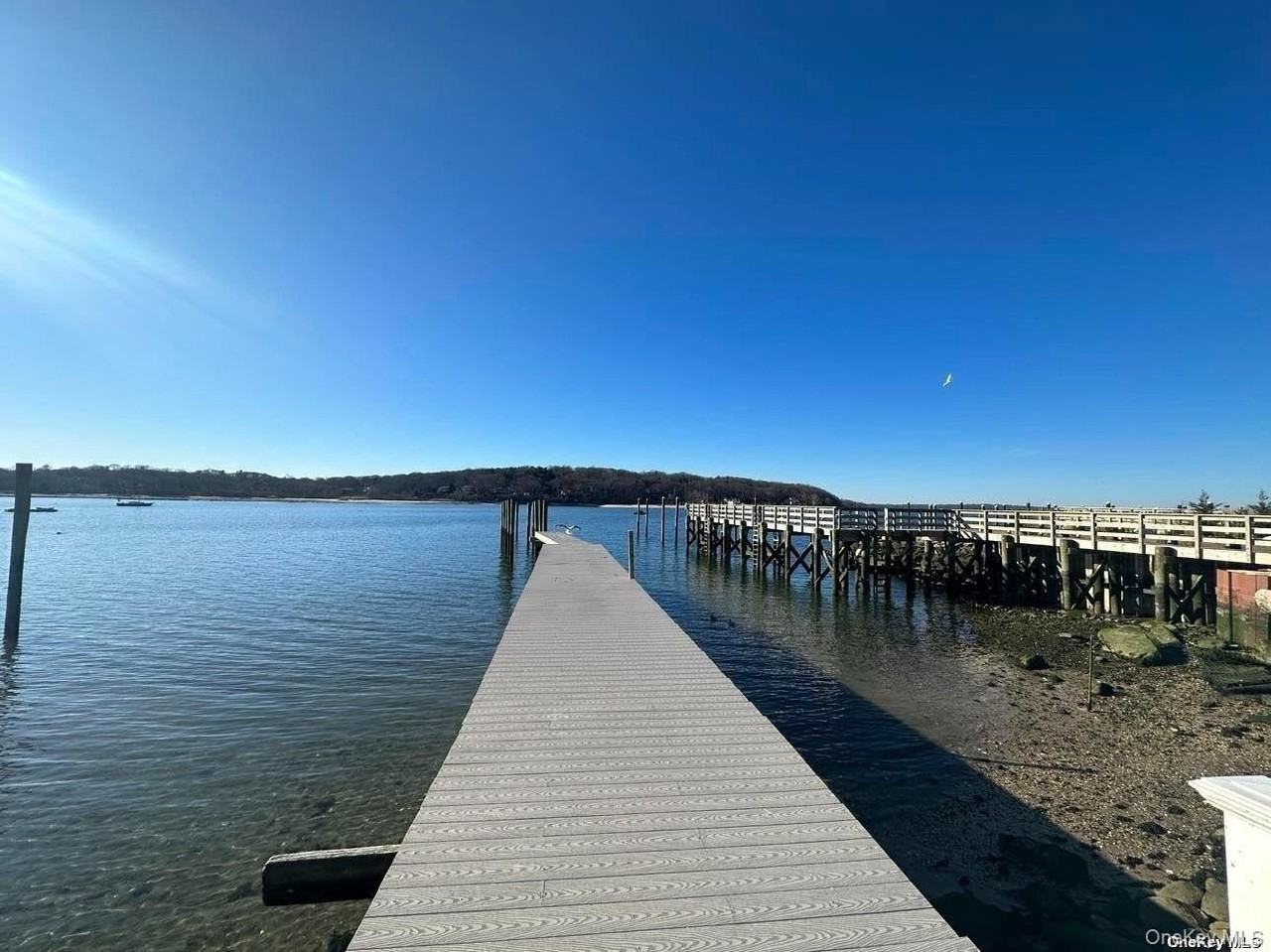 147 Woodbine Ave Apt 1n - Photo 2 of 11