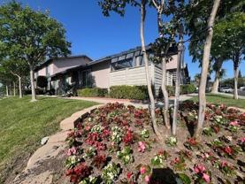 21063 Lycoming St - Photo 1 of 1