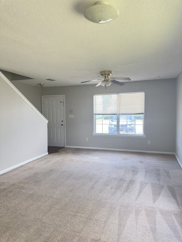 339 Brookfield Rd #1 - Photo 5 of 12